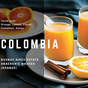 哥倫比亞 布宜諾斯艾利斯 香橙蜂蜜厭氧水洗處理