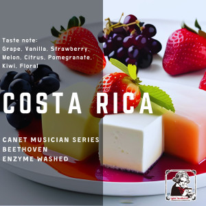 哥斯達黎加 卡內特莊園 音樂家系列: 貝多芬 酵素水洗處理