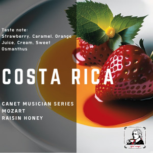 哥斯達黎加 卡內特莊園 音樂家系列: 莫扎特 葡萄乾蜜處理