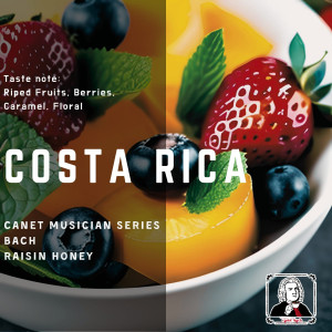 哥斯達黎加 卡內特莊園 音樂家系列: 巴哈 葡萄乾蜜處理